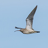 Tiengemeten
